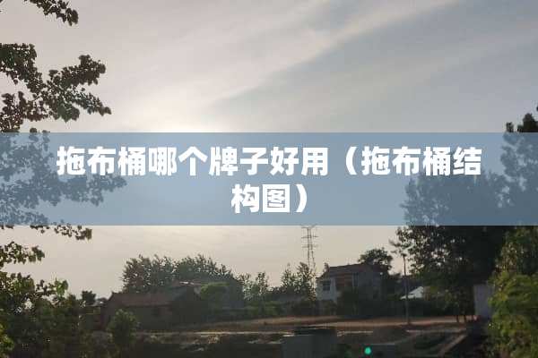 拖布桶哪个牌子好用（拖布桶结构图）