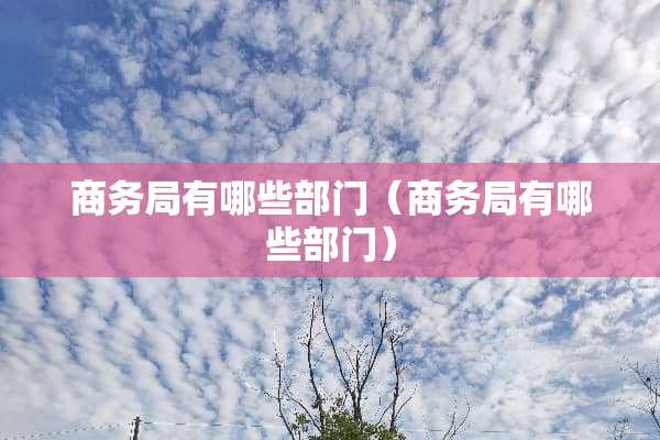 商务局有哪些部门（商务局有哪些部门）