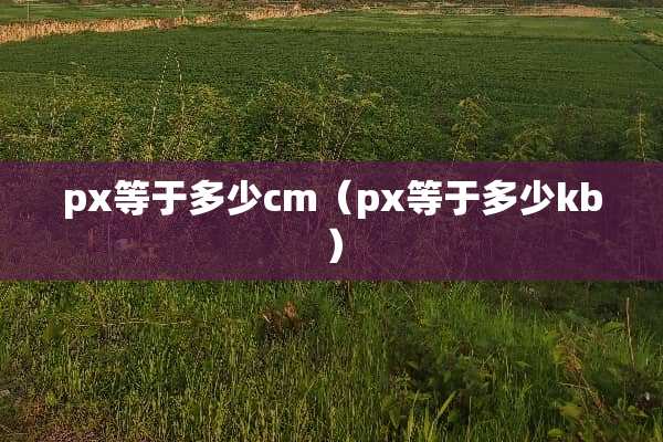 px等于多少cm（px等于多少kb）