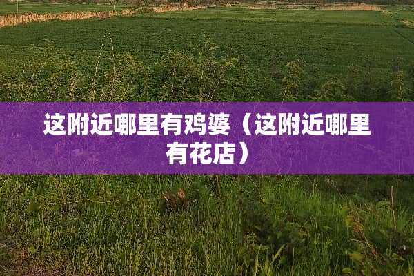 这附近哪里有鸡婆（这附近哪里有花店）