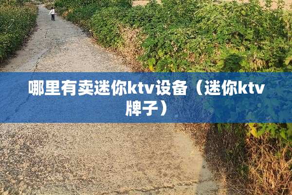哪里有卖迷你ktv设备（迷你ktv牌子）
