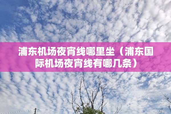 浦东机场夜宵线哪里坐（浦东国际机场夜宵线有哪几条）