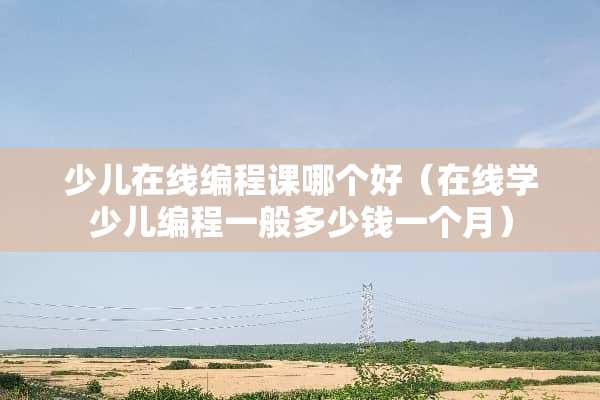 少儿在线编程课哪个好（在线学少儿编程一般多少钱一个月）