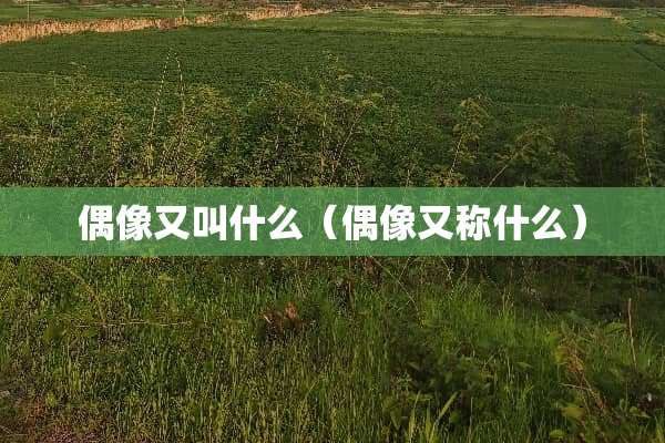 偶像又叫什么（偶像又称什么）