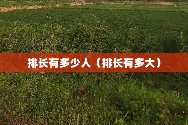 排长有多少人（排长有多大）