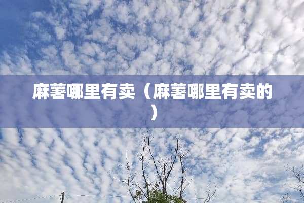 麻薯哪里有卖（麻薯哪里有卖的）