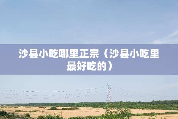 沙县小吃哪里正宗（沙县小吃里最好吃的）