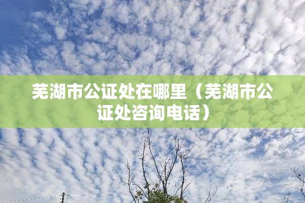 芜湖市公证处在哪里（芜湖市公证处咨询电话）