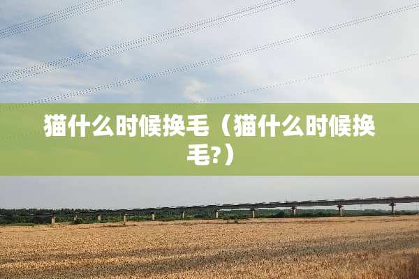 猫什么时候换毛（猫什么时候换毛?）
