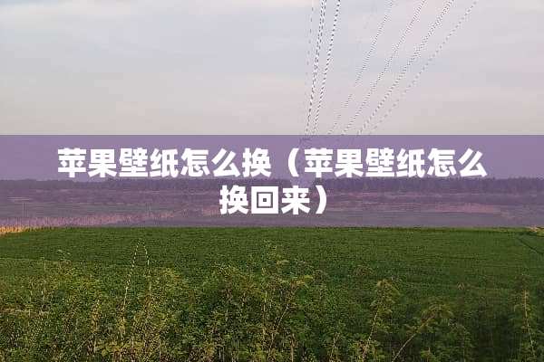 苹果壁纸怎么换（苹果壁纸怎么换回来）