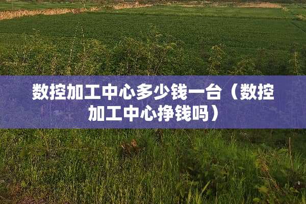 数控加工中心多少钱一台（数控加工中心挣钱吗）