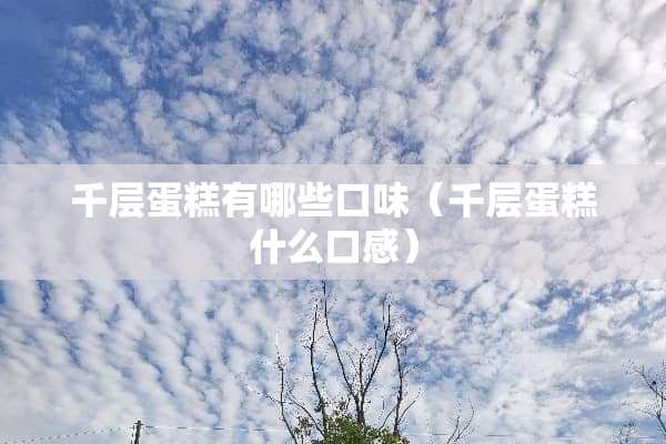 千层蛋糕有哪些口味（千层蛋糕什么口感）