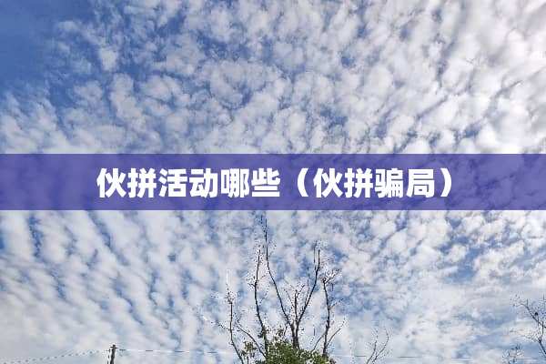伙拼活动哪些（伙拼**）