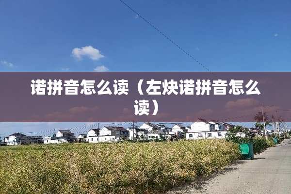 诺拼音怎么读（左炔诺拼音怎么读）