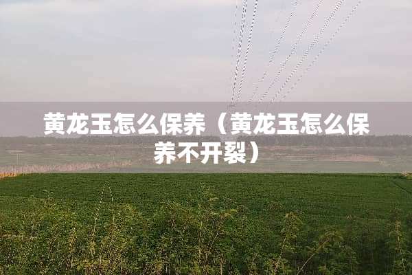 黄龙玉怎么保养（黄龙玉怎么保养不开裂）