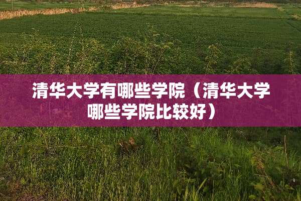 清华大学有哪些学院（清华大学哪些学院比较好）