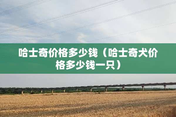 哈士奇价格多少钱（哈士奇犬价格多少钱一只）
