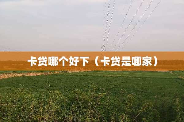 卡贷哪个好下（卡贷是哪家）