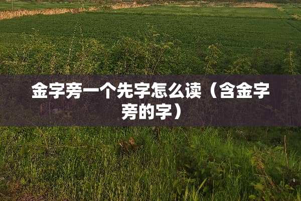 金字旁一个先字怎么读（含金字旁的字）