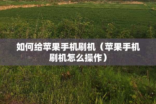 如何给苹果手机刷机（苹果手机刷机怎么操作）