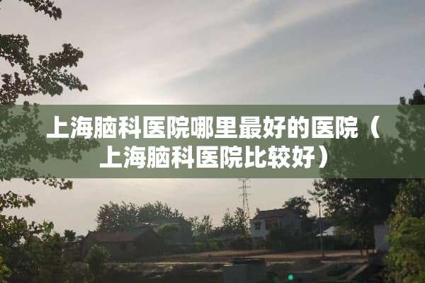 上海脑科医院哪里最好的医院（上海脑科医院比较好）