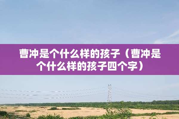 曹冲是个什么样的孩子（曹冲是个什么样的孩子四个字）