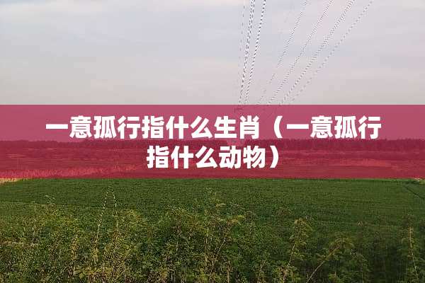 一意孤行指什么生肖（一意孤行指什么动物）