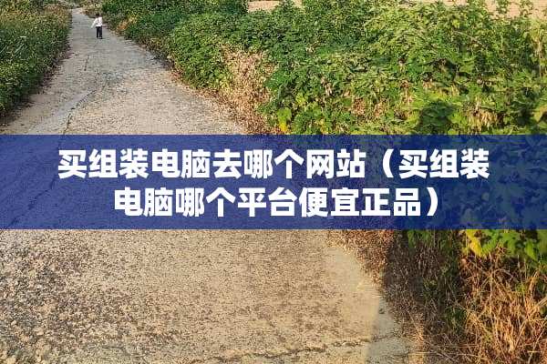 买组装电脑去哪个网站（买组装电脑哪个平台便宜正品）