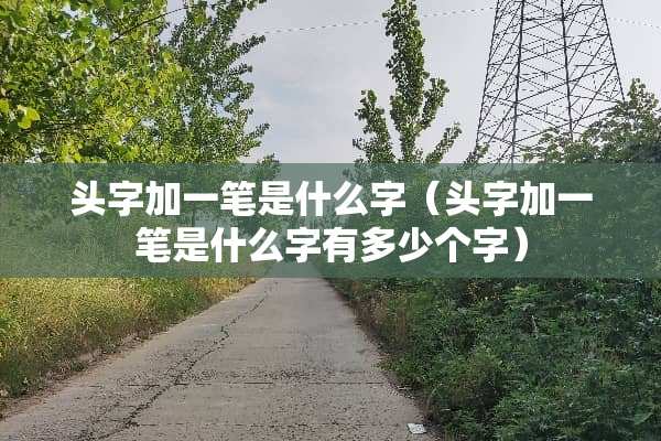 头字加一笔是什么字（头字加一笔是什么字有多少个字）