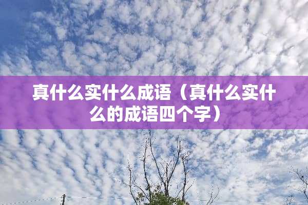 真什么实什么成语（真什么实什么的成语四个字）