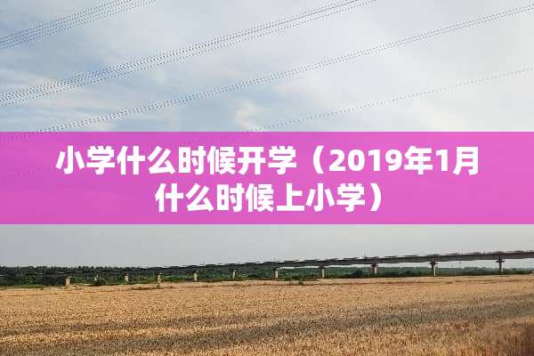 小学什么时候开学（2019年1月什么时候上小学）