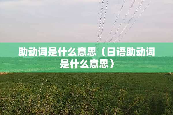 助动词是什么意思（日语助动词是什么意思）