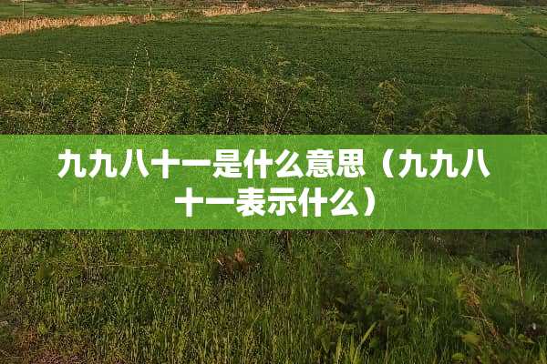 九九八十一是什么意思（九九八十一表示什么）