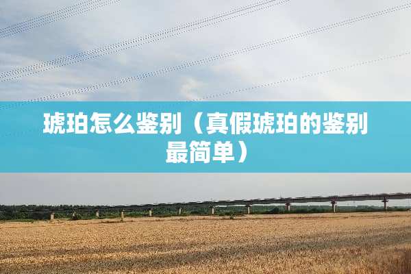 琥珀怎么鉴别（真假琥珀的鉴别最简单）