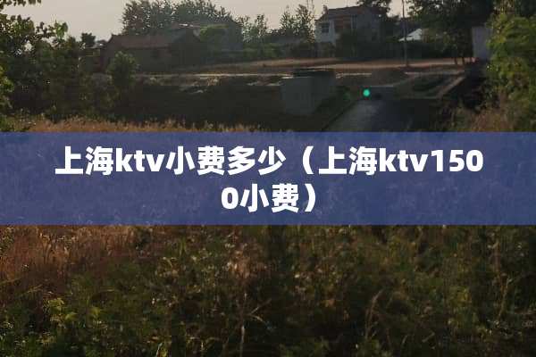 上海ktv小费多少（上海ktv1500小费）