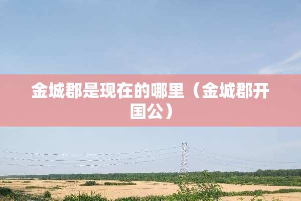金城郡是现在的哪里（金城郡开国公）