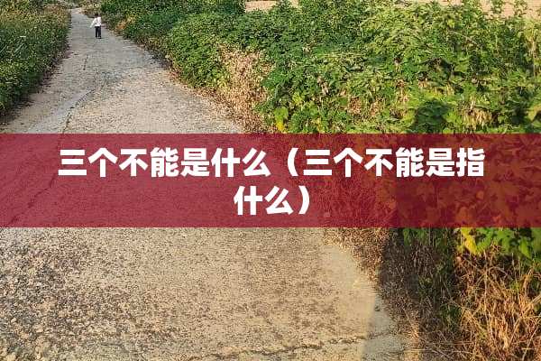 三个不能是什么（三个不能是指什么）