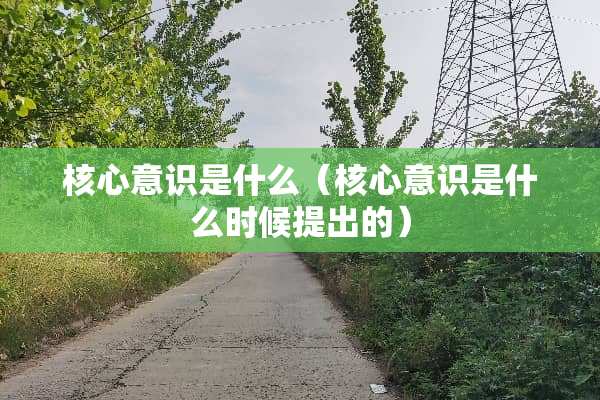 核心意识是什么（核心意识是什么时候提出的）