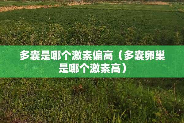 多囊是哪个激素偏高（多囊卵巢是哪个激素高）