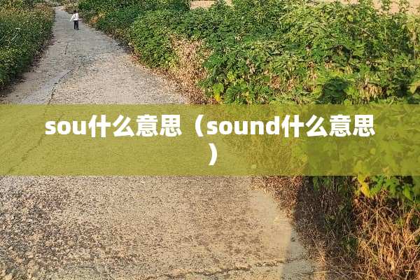 sou什么意思（sound什么意思）