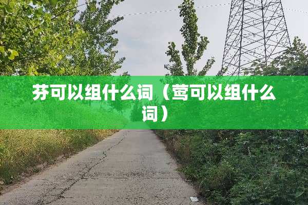 芬可以组什么词（莺可以组什么词）
