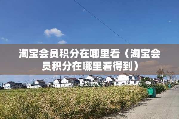 淘宝会员积分在哪里看（淘宝会员积分在哪里看得到）
