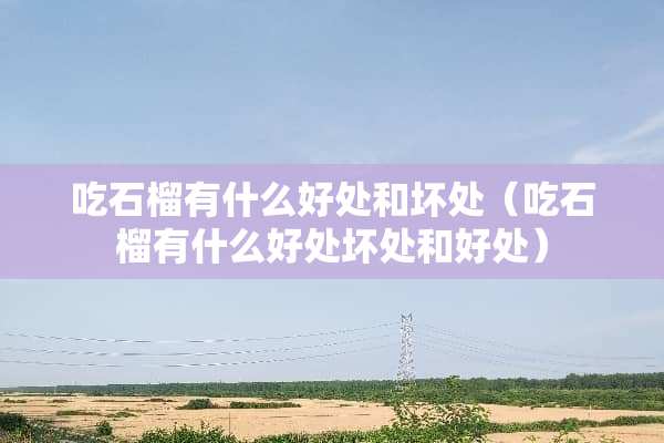 吃石榴有什么好处和坏处（吃石榴有什么好处坏处和好处）