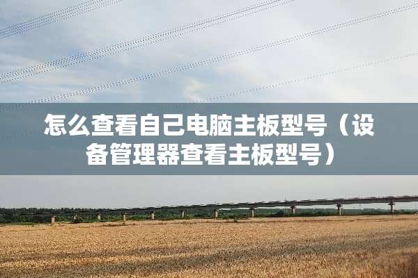 怎么查看自己电脑主板型号（设备管理器查看主板型号）