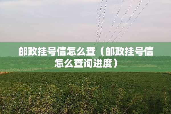 邮政挂号信怎么查（邮政挂号信怎么查询进度）