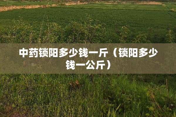 中药锁阳多少钱一斤（锁阳多少钱一公斤）
