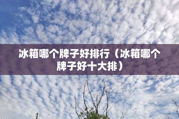 冰箱哪个牌子好排行（冰箱哪个牌子好十大排）