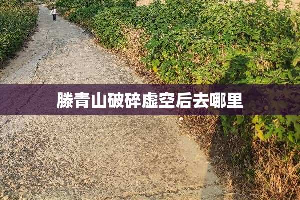 滕青山破碎虚空后去哪里