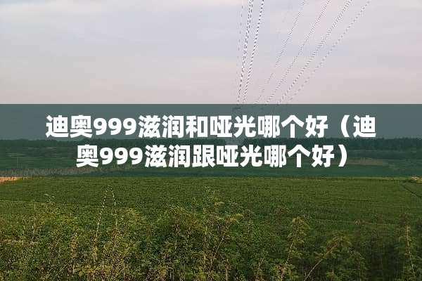 迪奥999滋润和哑光哪个好（迪奥999滋润跟哑光哪个好）