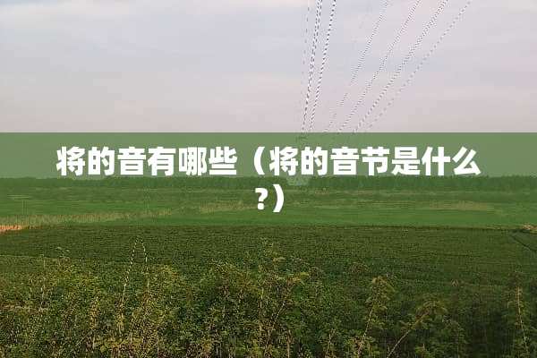 将的音有哪些（将的音节是什么?）